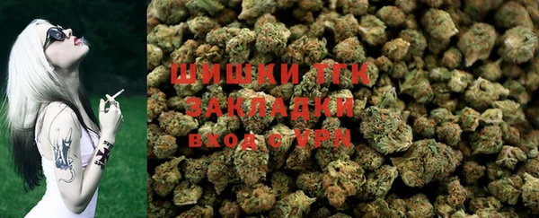 прущий лед Арсеньев