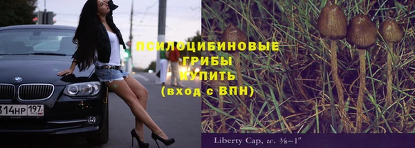 дурь Алексин
