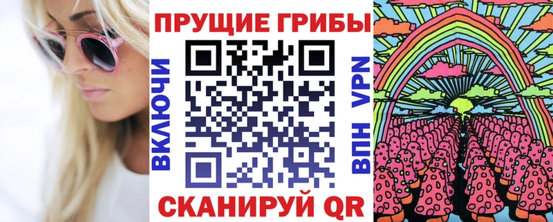 Псилоцибиновые грибы Psilocybe  Светлоград 